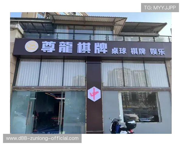 深度剖析尊龙棋牌的独特魅力，吸引玩家的原因是什么